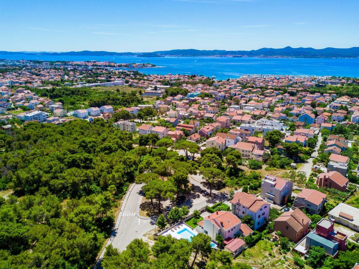 Ella * Zadar